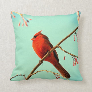 Red Bird Pillow