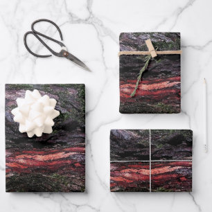 Red black tree mossy wood bark wrapping paper sheet