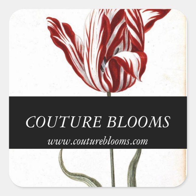 Red Black White Tulip Florist Square Stickers (Front)