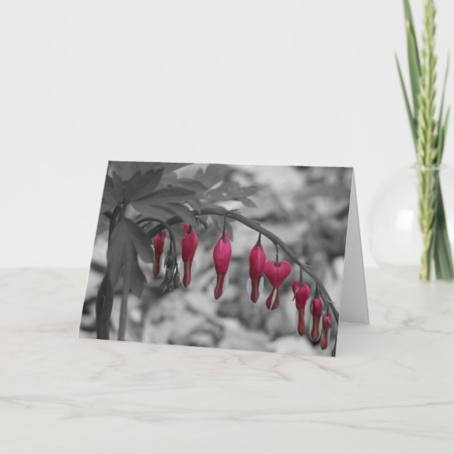 Red Bleeding Hearts Card (Front)