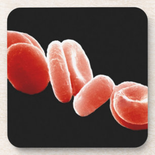 Red Blood Cells Coaster