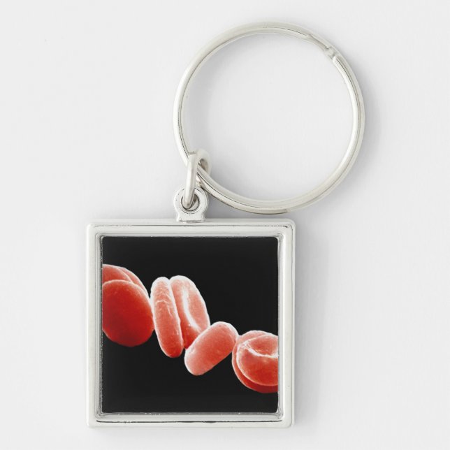 Red Blood Cells Key Ring (Front)