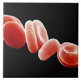 Red Blood Cells Tile