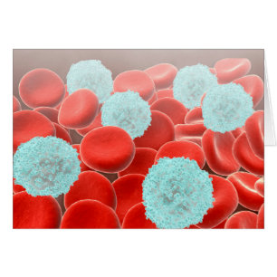 Red Blood Cells With White Blood Cells