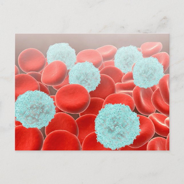 Red Blood Cells With White Blood Cells Postcard (Front)