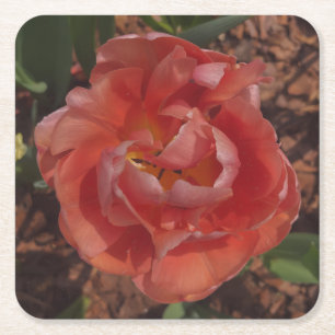 red blossom square paper coaster