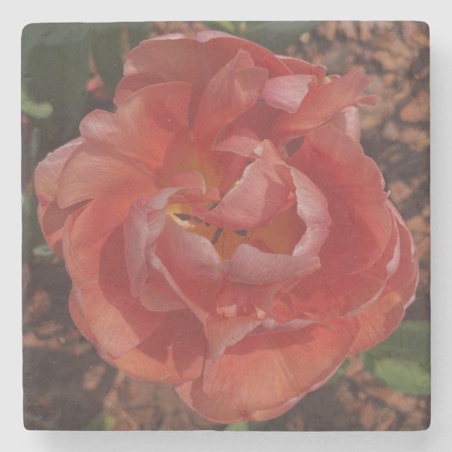 red blossom  stone coaster (Front)