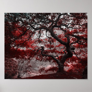 Red Blossom Tree Poster