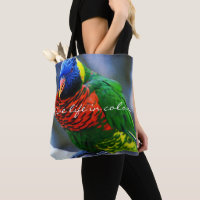 Red Blue Green Bird Photo Live Life in Colour Quot