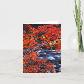 Red/Blue Landscape Card