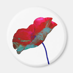 Red blue poppy on white magnet