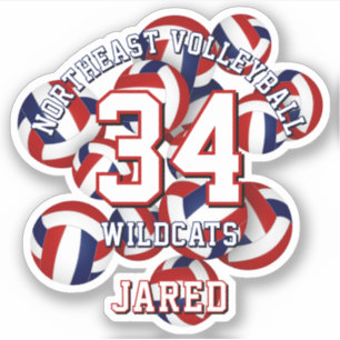 red blue sports team colours volleyballs kids