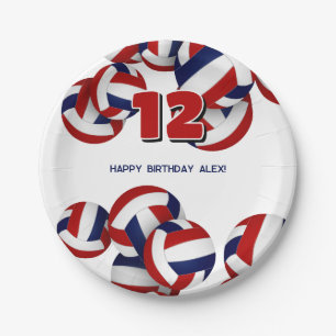 red blue volleyballs boys girls birthday party paper plate