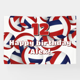 red blue volleyballs kids birthday party banner