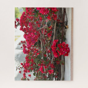Red Bougainvillea, Burlingame Jigsaw Puzzle