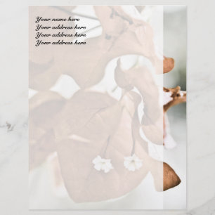 Red Bougainvillea Letterhead