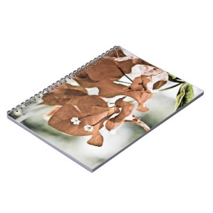 Red Bougainvillea Notebook