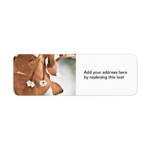 Red Bougainvillea Return Address Label