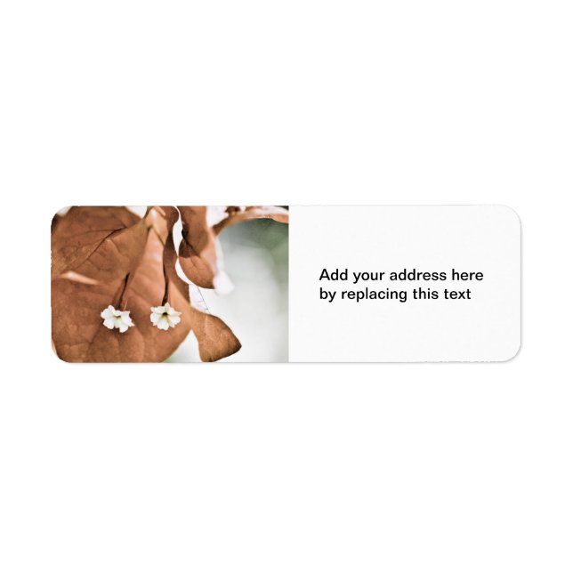 Red Bougainvillea Return Address Label (Front)