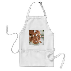 Red Bougainvillea Standard Apron