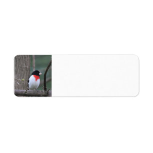 Red-Breasted Grosbeak address labels