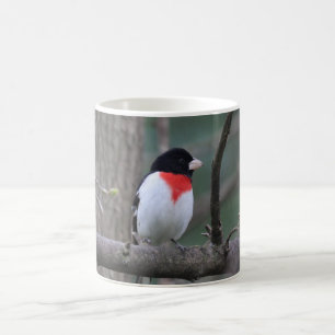 Red-Breasted Grosbeak mug