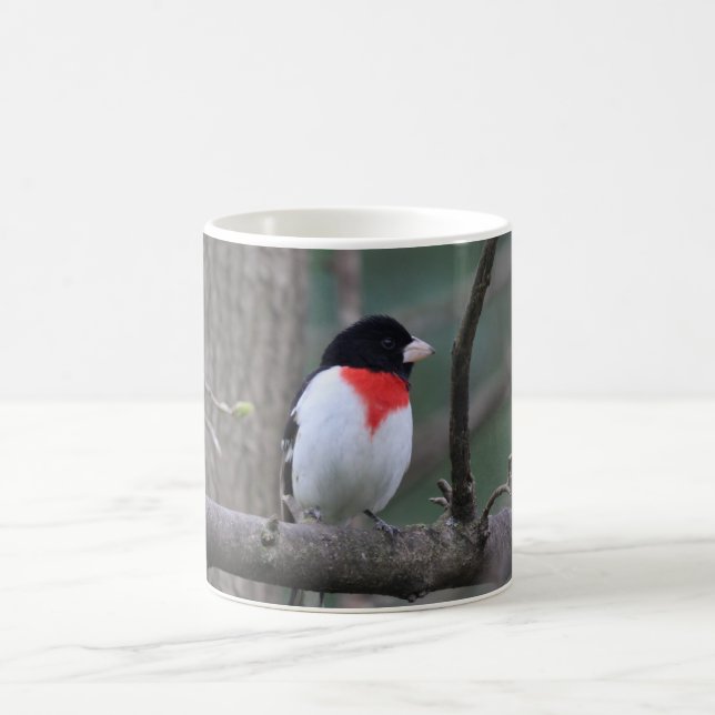 Red-Breasted Grosbeak mug (Center)