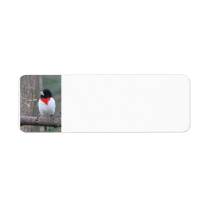 Red-Breasted Grosbeak  Return Address Label