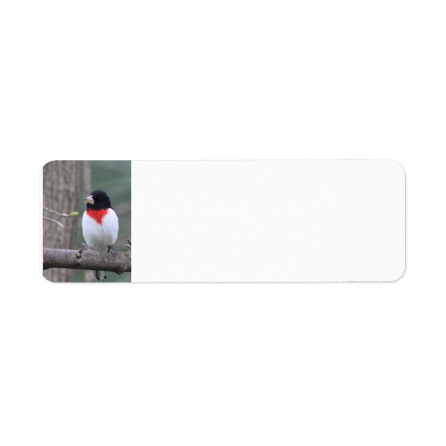 Red-Breasted Grosbeak  Return Address Label (Front)