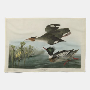 Red-breasted Merganser, Audubon's Birds of America Tea Towel