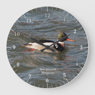 Red Breasted Merganser clock