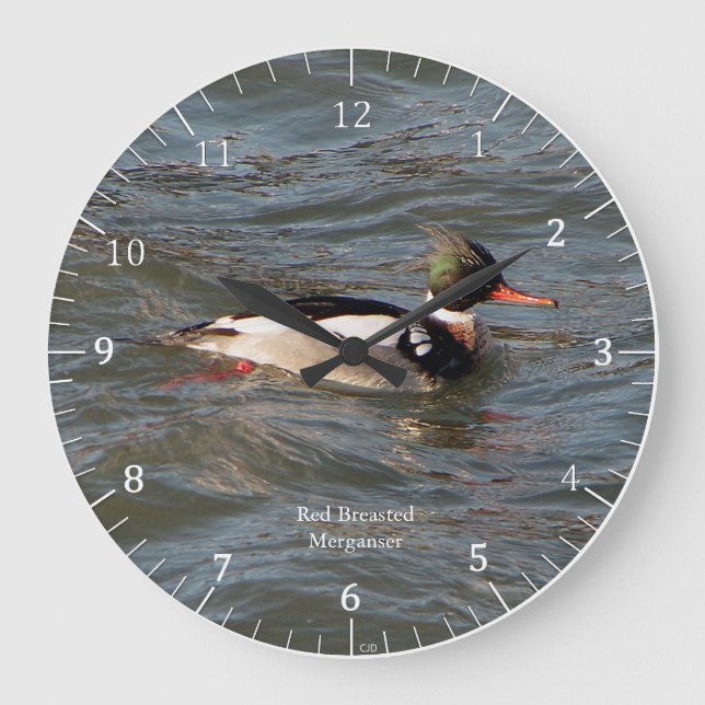 Red Breasted Merganser clock (Front)