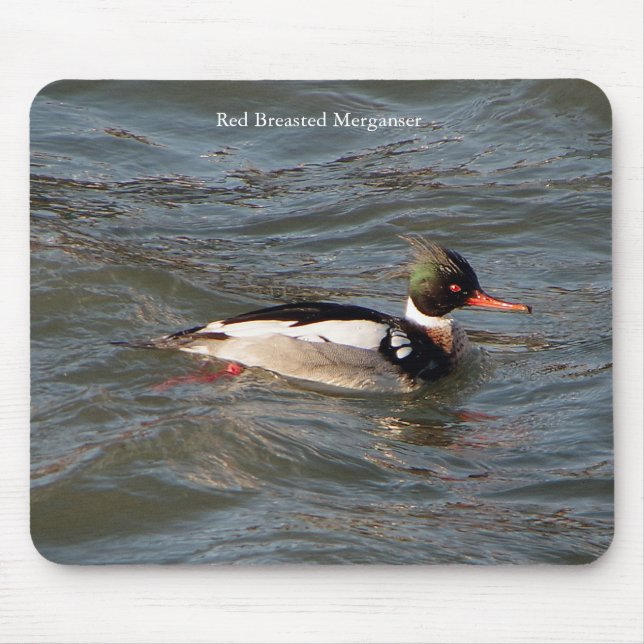 Red Breasted Merganser mouse pad (Front)