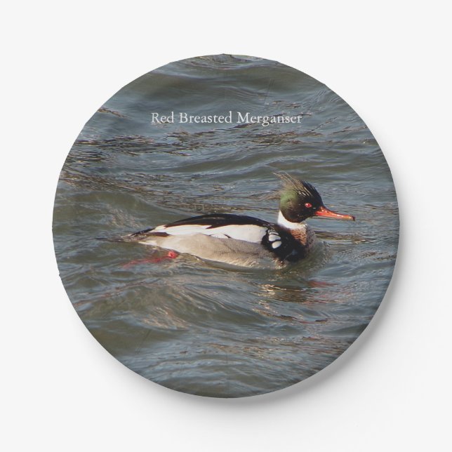 Red Breasted Merganser paper plate (Front)