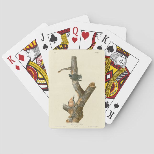 Red-breasted Nuthatch - Audubon's Birds of America Playing Cards (Back)