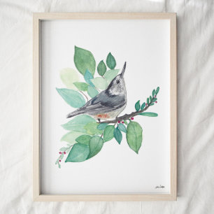 Red Breasted Nuthatch Bird Art Poster