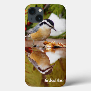Red-breasted Nuthatch iPhone 13 Case