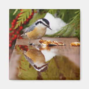Red-breasted Nuthatch Magnet