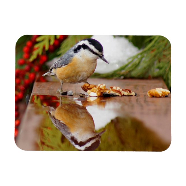Red-breasted Nuthatch Magnet (Horizontal)