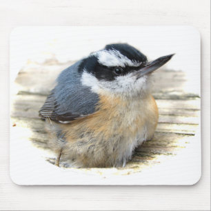Red-breasted Nuthatch Mouse Pad
