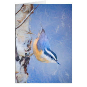 Red-Breasted Nuthatch Painting Original Bird Art