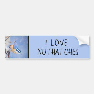 Red-Breasted Nuthatch Painting Original Bird Art Bumper Sticker