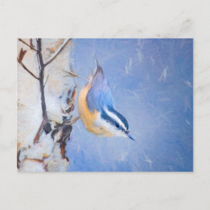 Red-Breasted Nuthatch Painting Original Bird Art Postcard