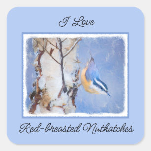 Red-Breasted Nuthatch Painting Original Bird Art Square Sticker