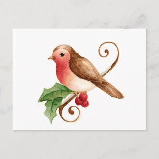 Red-Breasted Robin with Holly Postcard