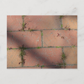 Red Brick Postcard