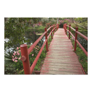 Red bridge over pond, Magnolia Plantation, Photo Print