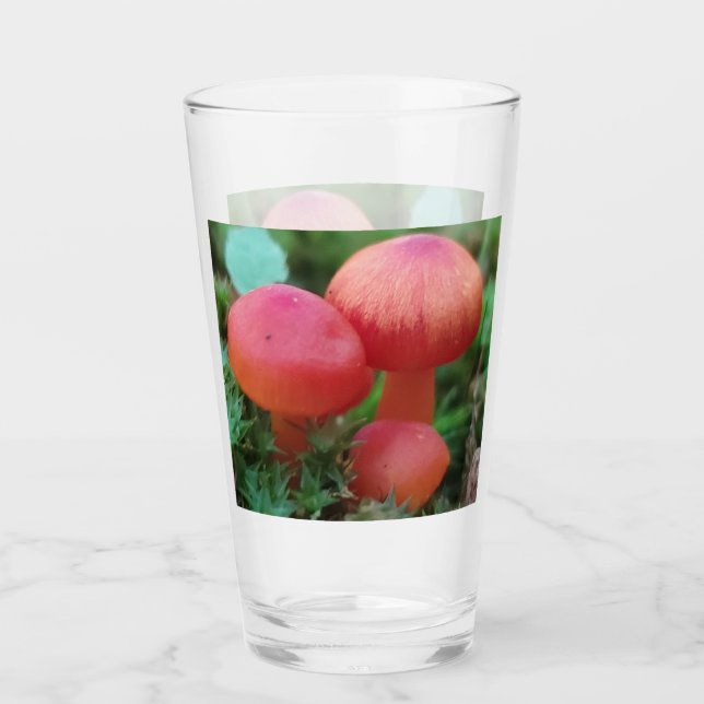 Red Bright Mushrooms  on Forest Floor Glass (Front)