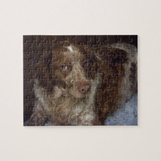 Red Brittany Spaniel dog épagneul breton roux Jigsaw Puzzle