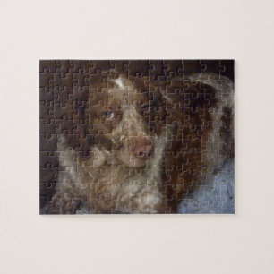 Red Brittany Spaniel Red Breton Epagneuon Jigsaw Puzzle